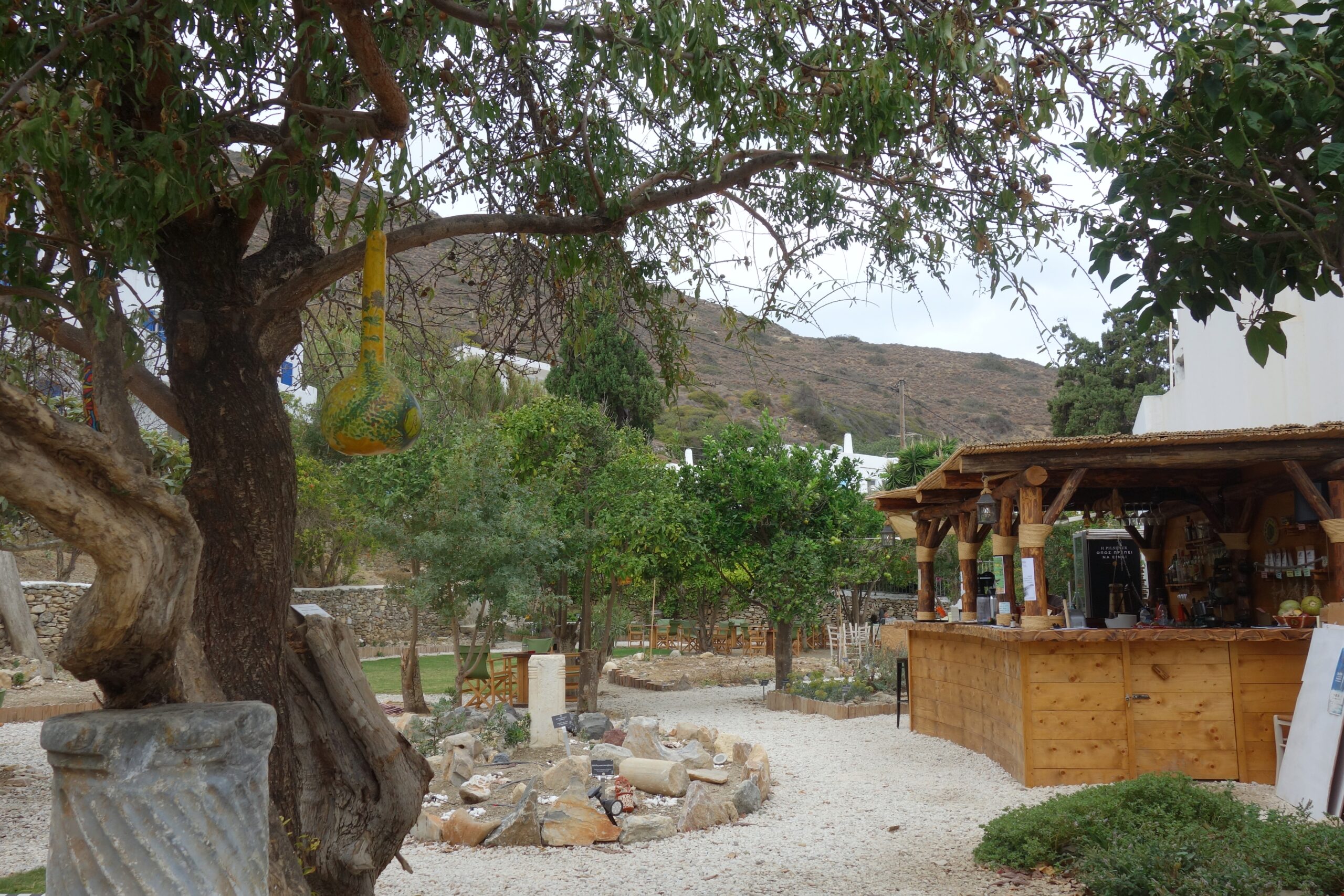 Natural landscape of Amorgos showing rocky terrain, herbs, and dramatic Cycladic scenery