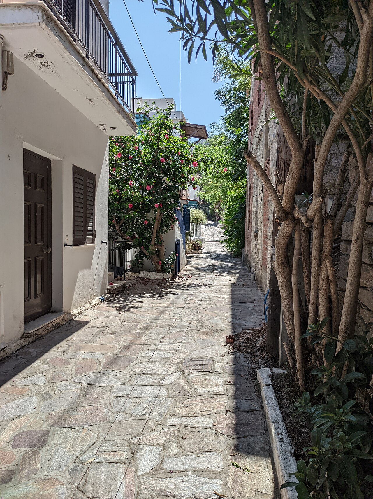 Narrow street in a traditional Ikarian mountain village with stone houses and flowering plants