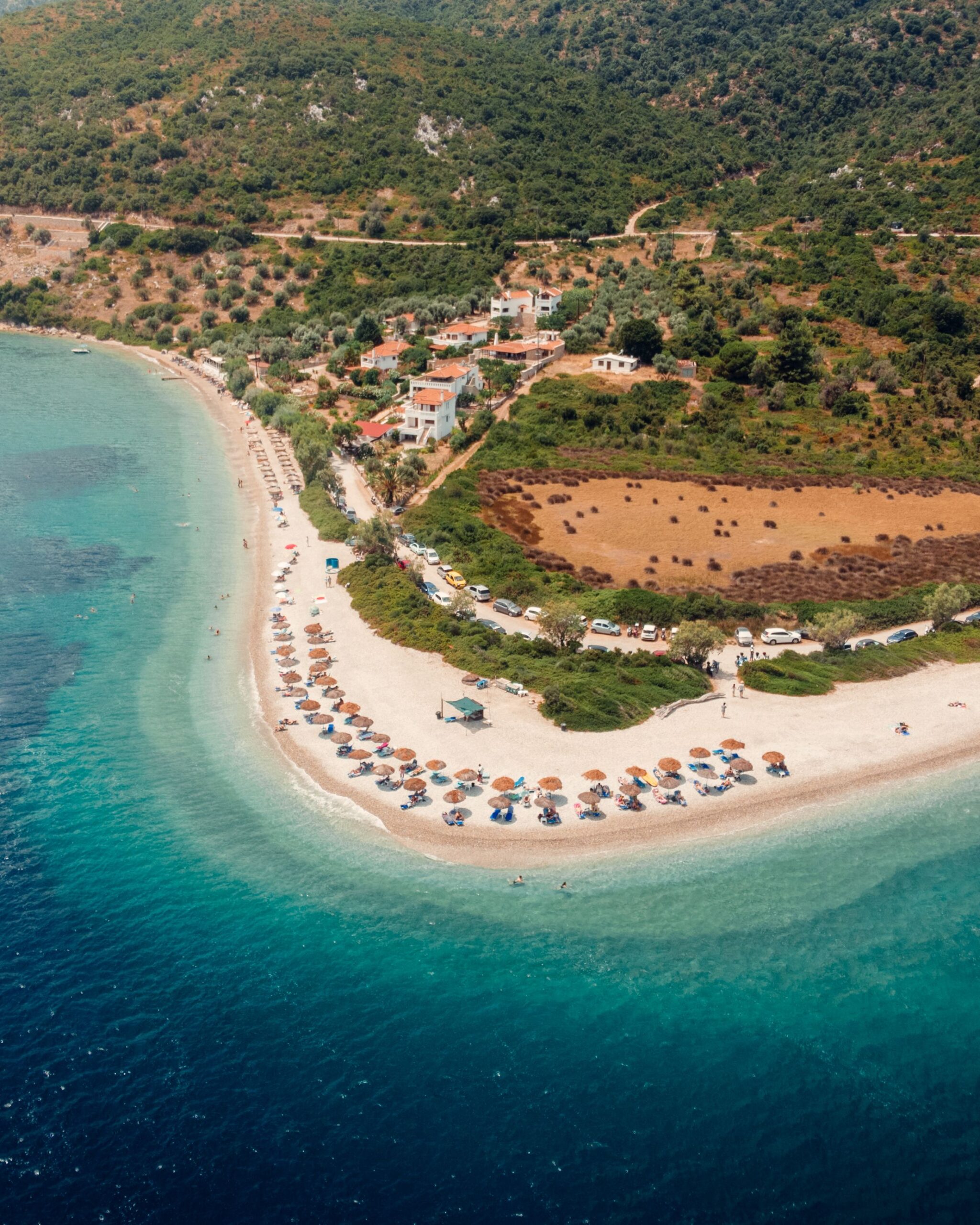 Aerial view of a pine-fringed beach with turquoise water on Alonissos island, Greece