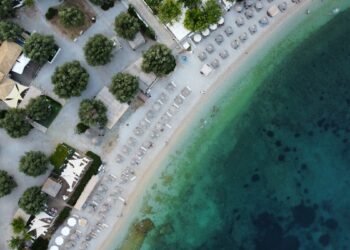 Aerial view of an organised beach with sun umbrellas and pine trees on Alonissos