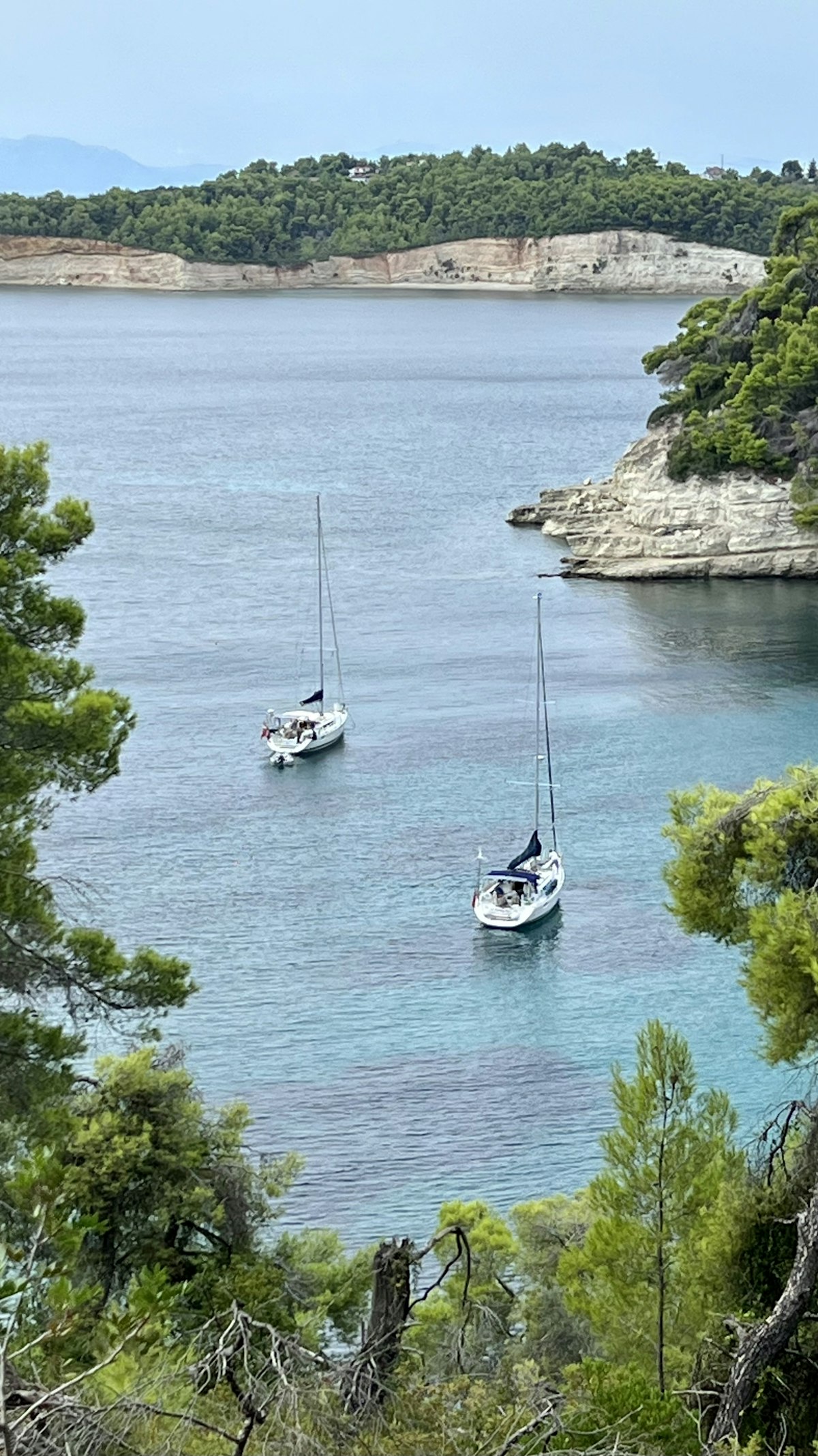 Sailboats anchored near the pine-covered coast of Alonissos island in the Sporades