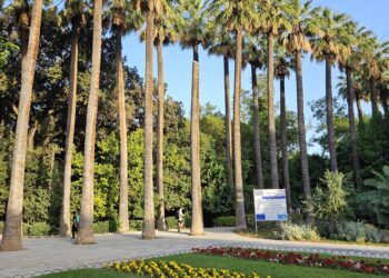 A shaded path through the National Garden in Athens