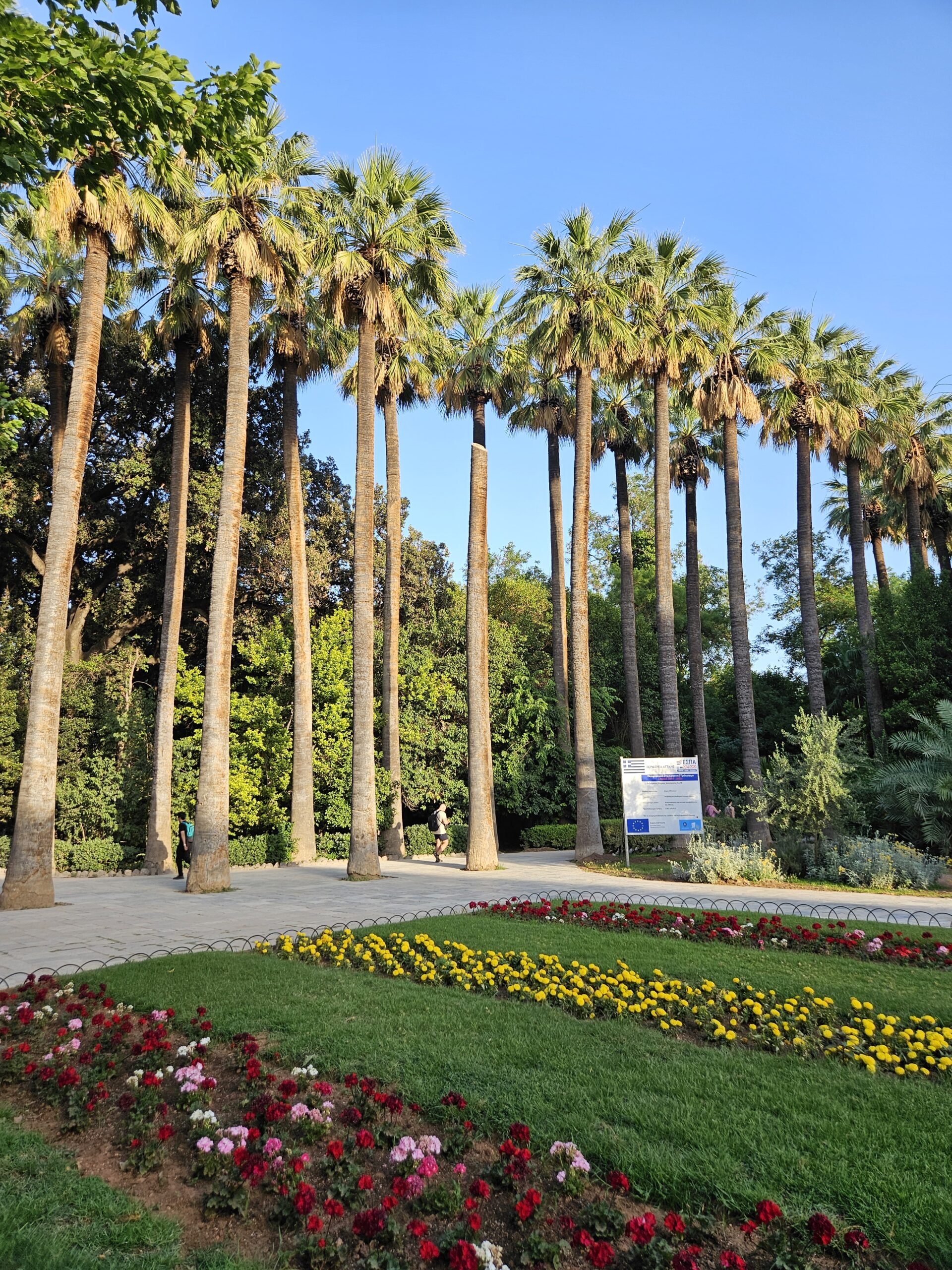 A shaded path through the National Garden in Athens