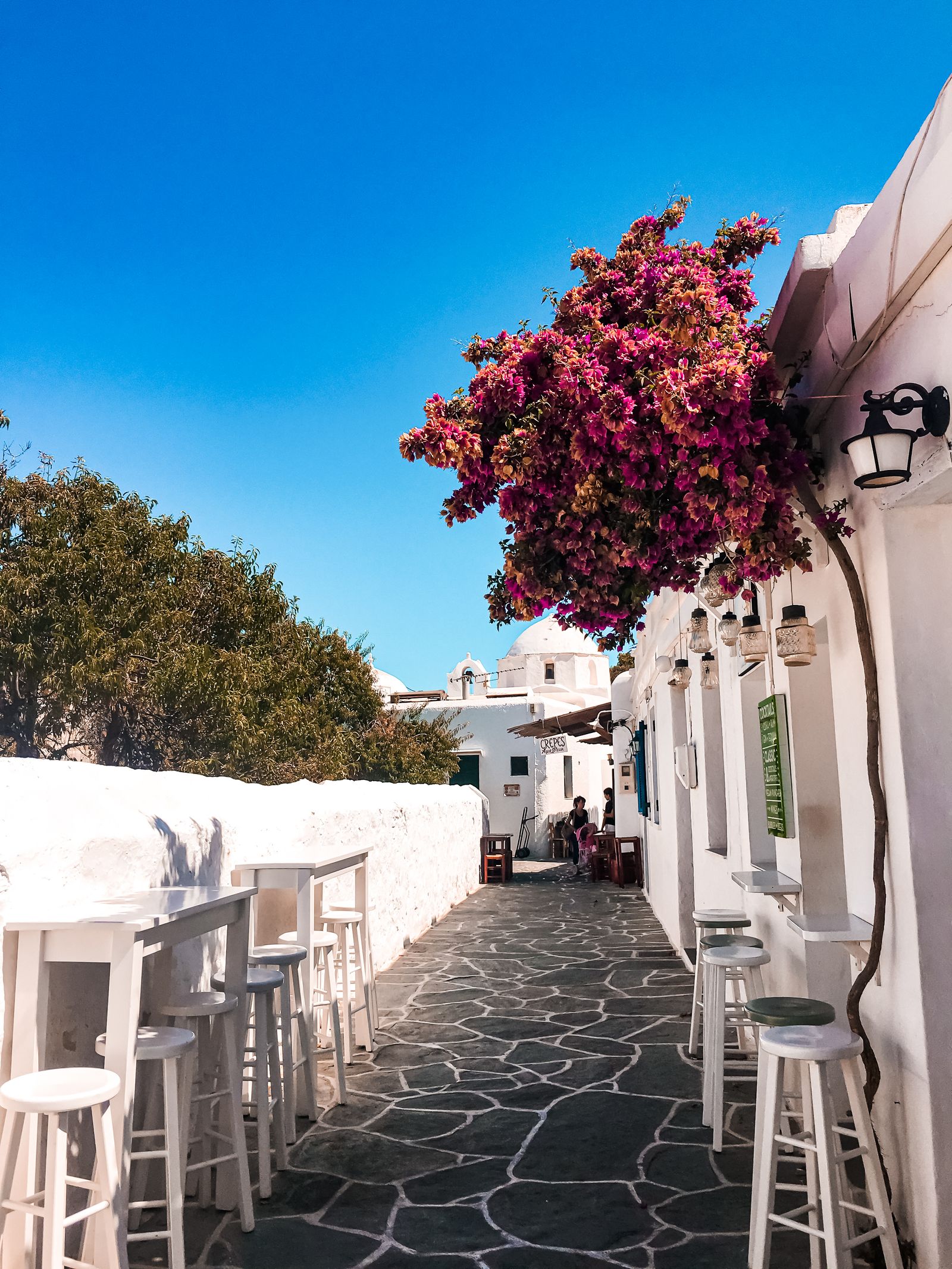 Narrow alley in Chora Folegandros lined with whitewashed walls and pink bougainvillea