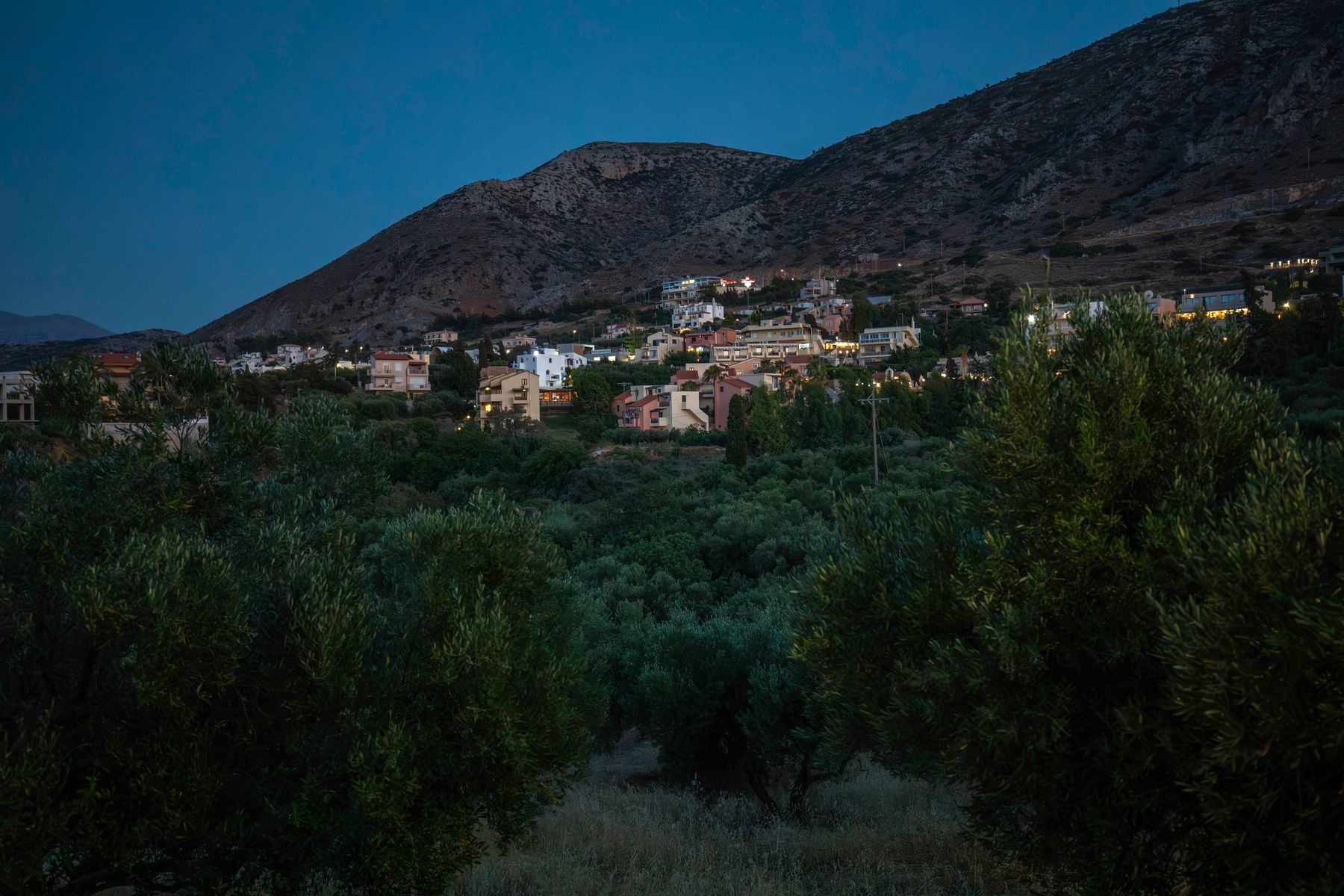 Olive groves and hills around Hersonissos in Crete, typical of the countryside surrounding the island's vineyards