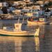 Colourful fishing boats moored in a Greek island harbour at sunset with traditional harbourside buildings