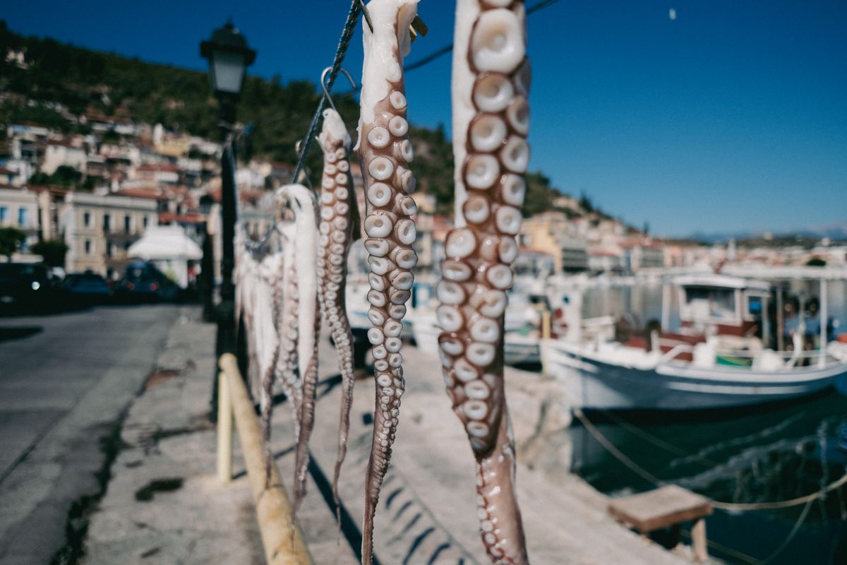 Octopus drying on a line in the sun at a Greek island fishing harbour