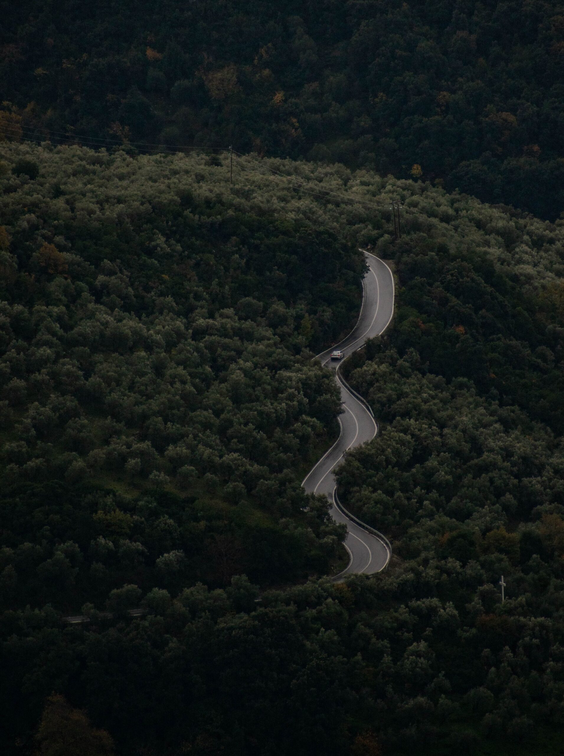 Winding mountain road through dense forest near Makrinitsa village in Pelion