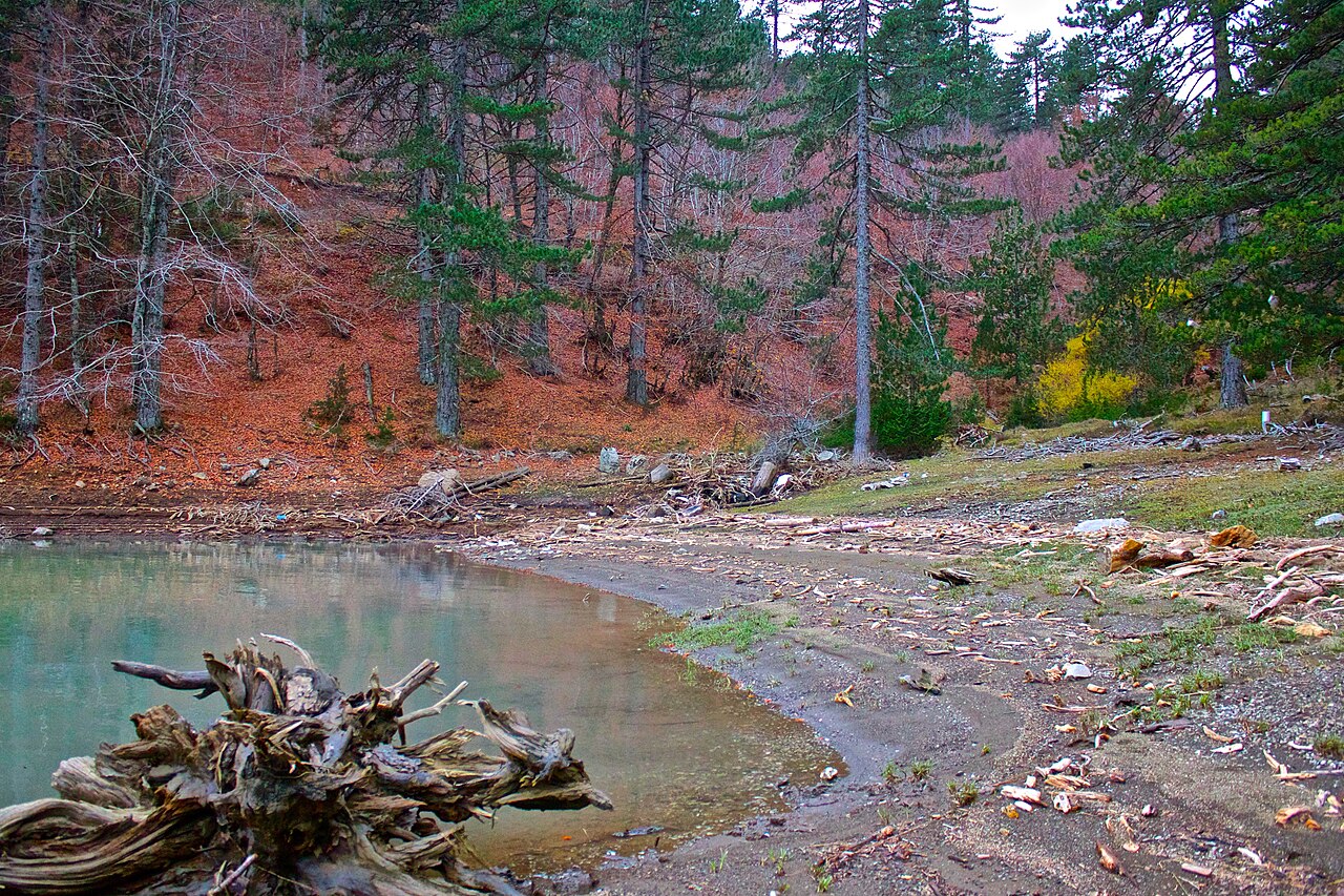 Aoos Springs Lake and forest near Metsovo
