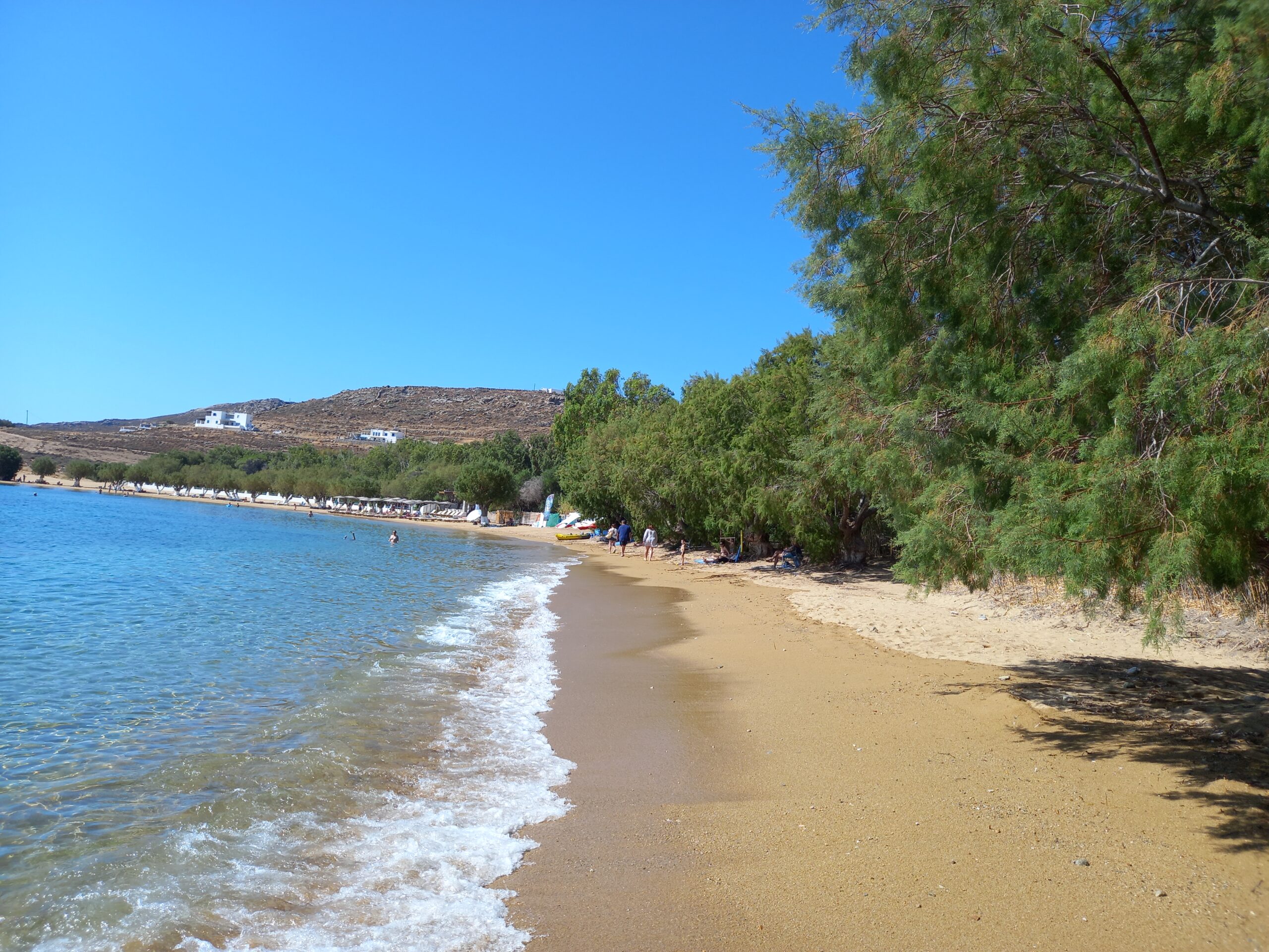 Serifos beach shaded by tamarisk trees