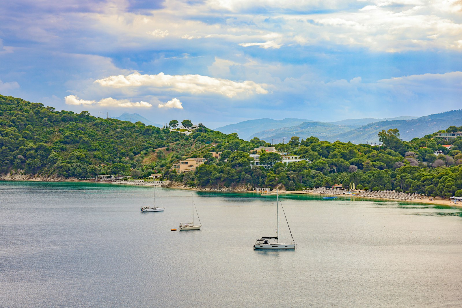 Golden sand and pine trees at Koukounaries Beach on the western tip of Skiathos