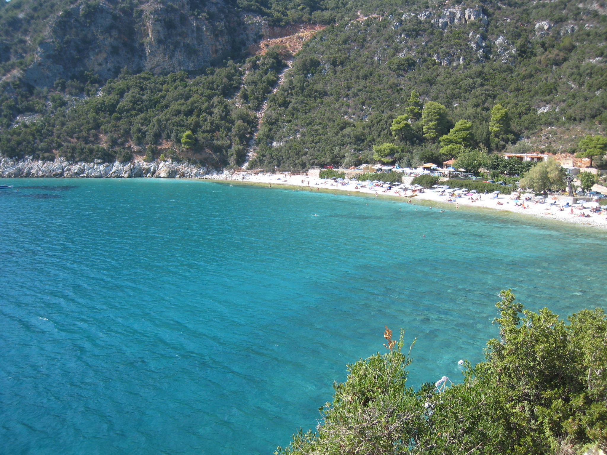 Crystal-clear turquoise waters of a Skopelos beach framed by dense pine forest