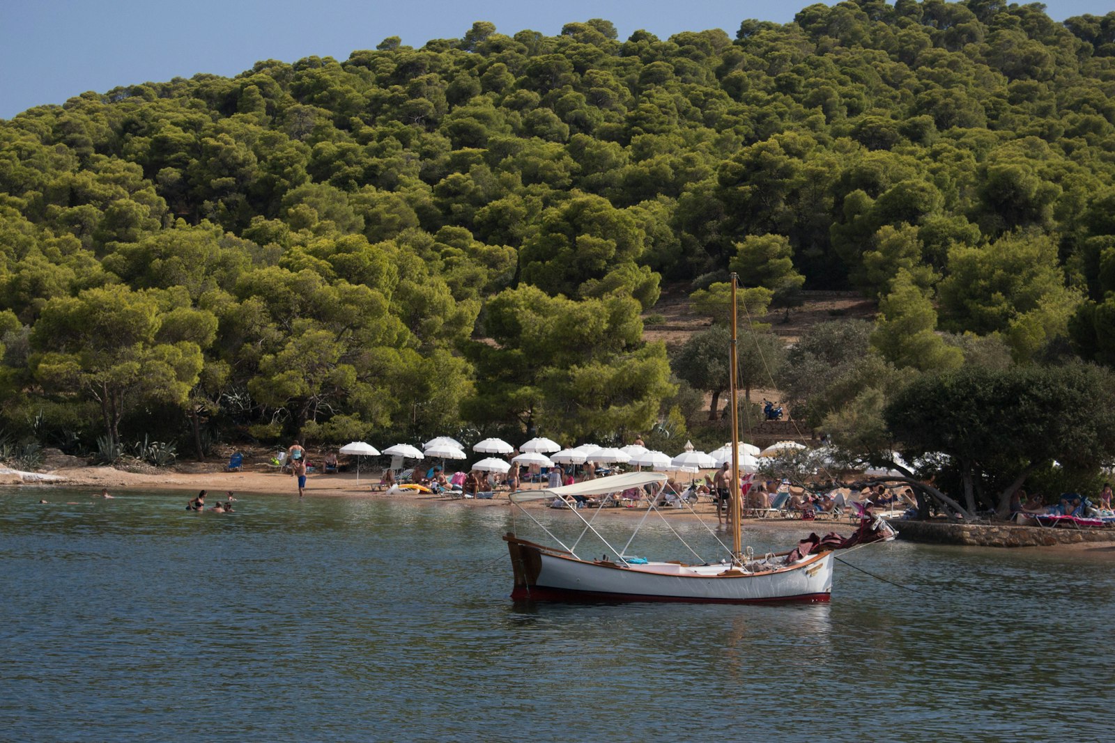 Pine-fringed Zogeria Beach on Spetses island with clear turquoise waters in the Saronic Gulf Greece