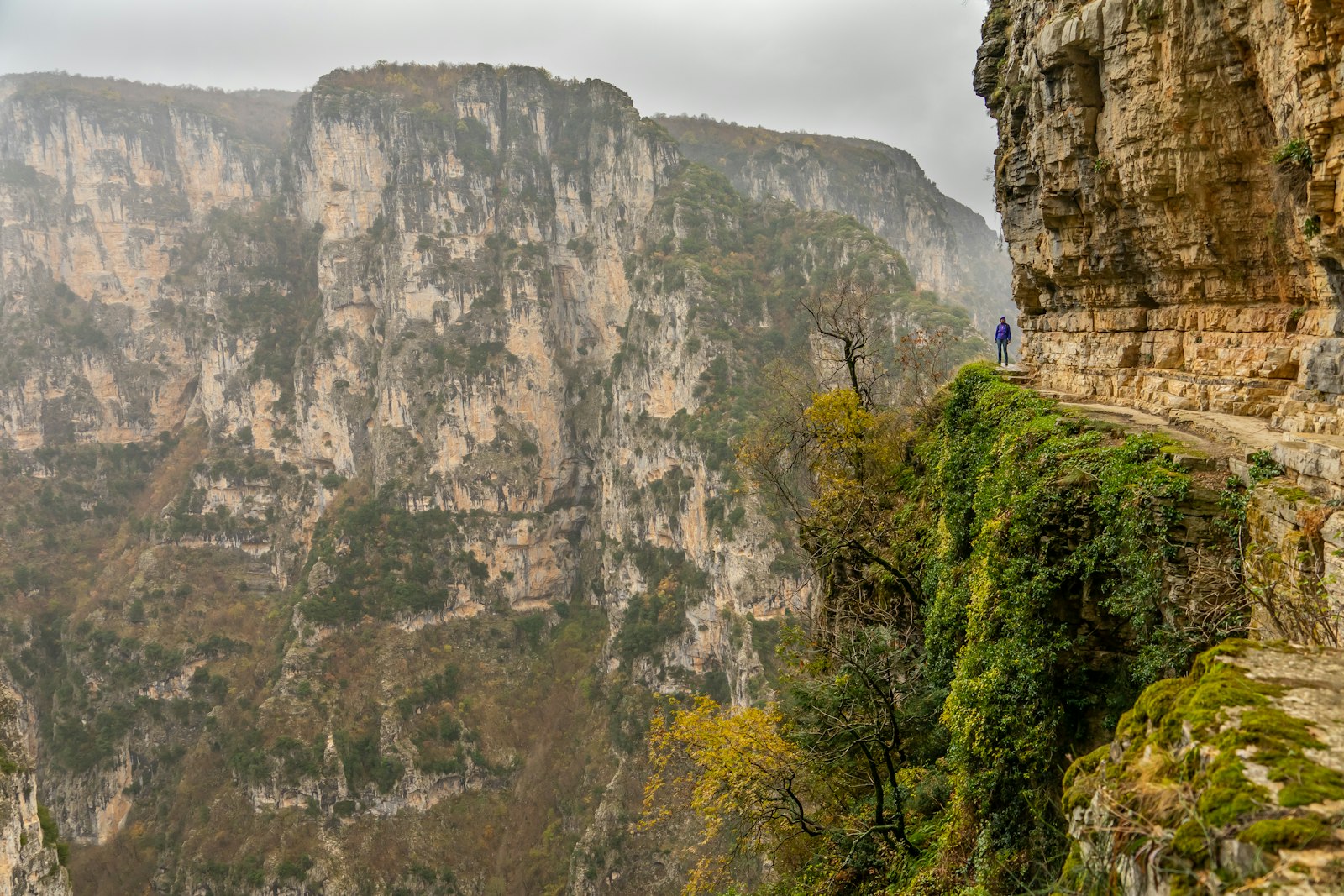 Aerial view of the Vikos Gorge showing the deep canyon and surrounding forested mountains