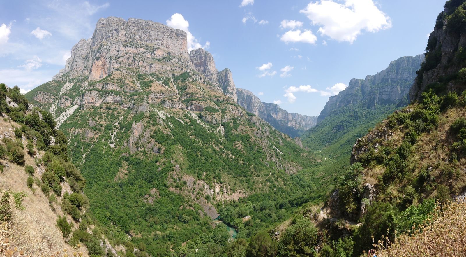Panoramic view of the Vikos Gorge limestone cliffs and forested slopes in Zagori, Epirus