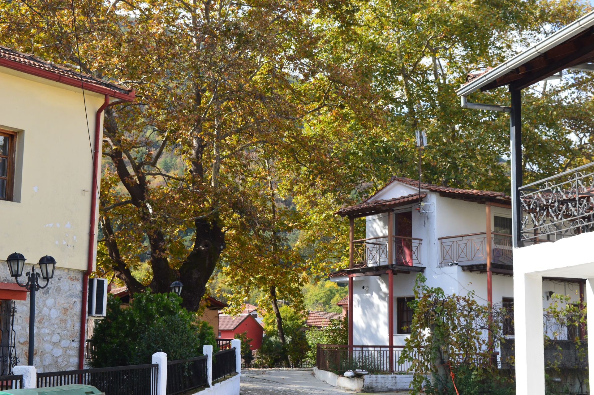 Greek mountain village with houses surrounded by colourful autumn foliage